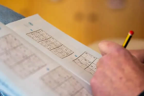 Řešitel sudoku